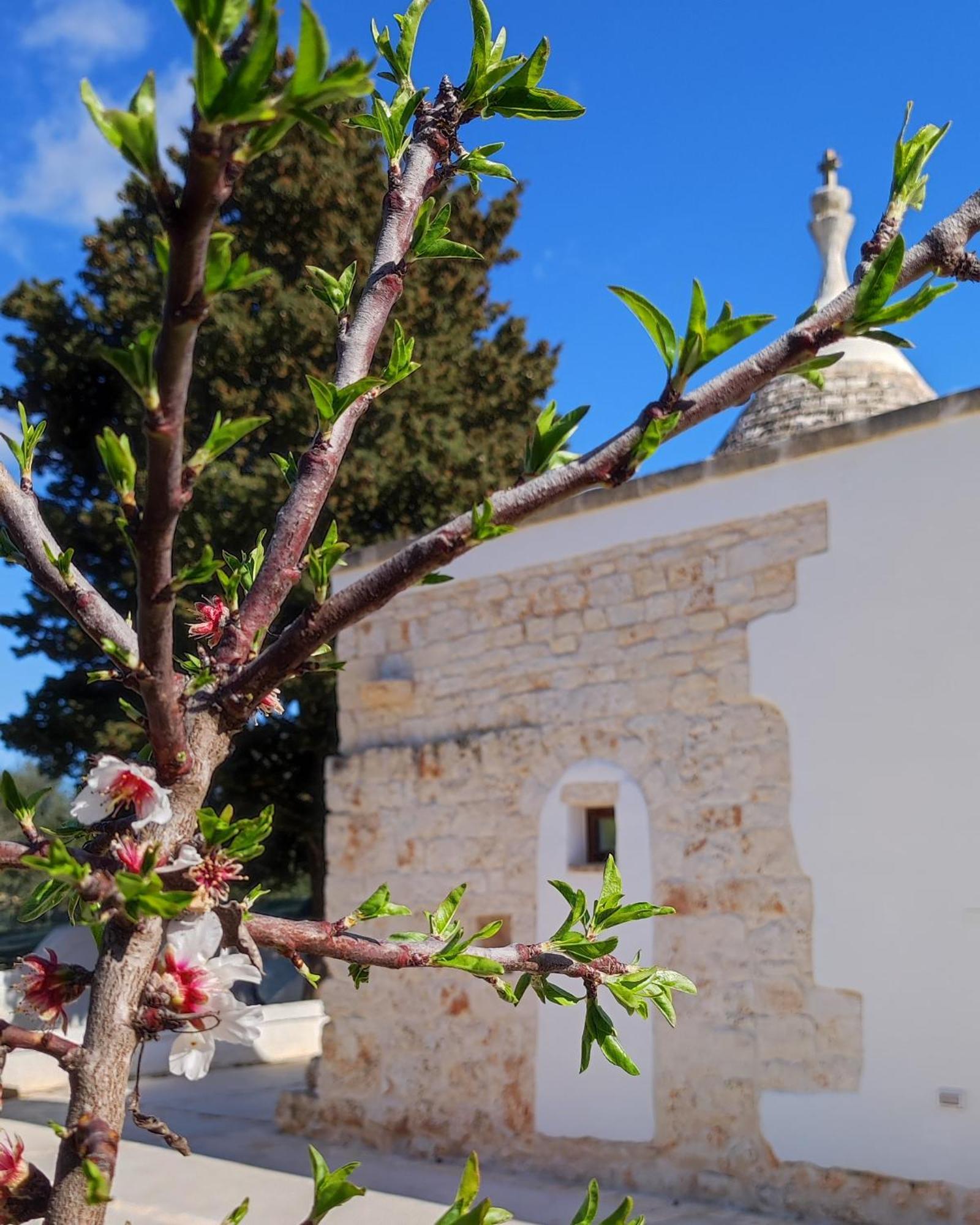 Trullo Zurlo Villa Ostuni Dış mekan fotoğraf