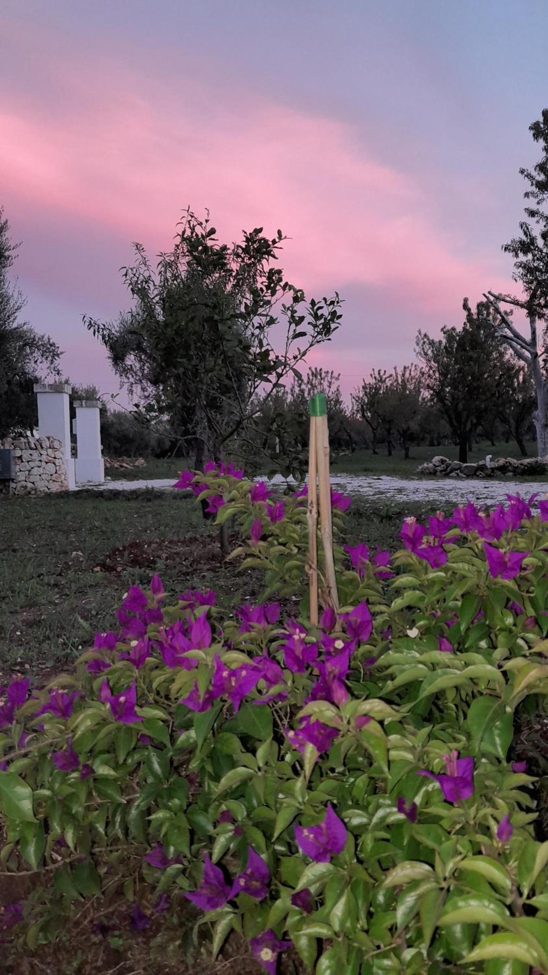 Trullo Zurlo Villa Ostuni Dış mekan fotoğraf