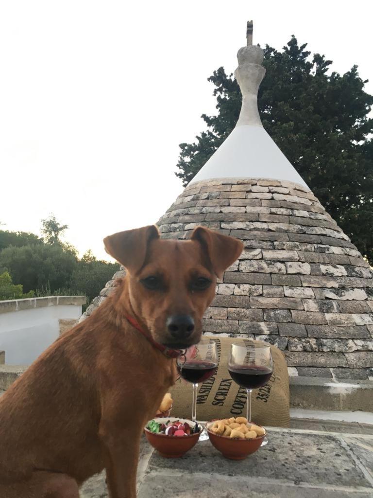 Trullo Zurlo Villa Ostuni Dış mekan fotoğraf